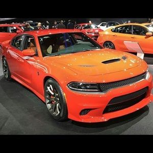 Meet your Posher, Omar